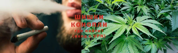 бошки Арсеньев