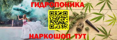 PSILOCYBIN Рязань