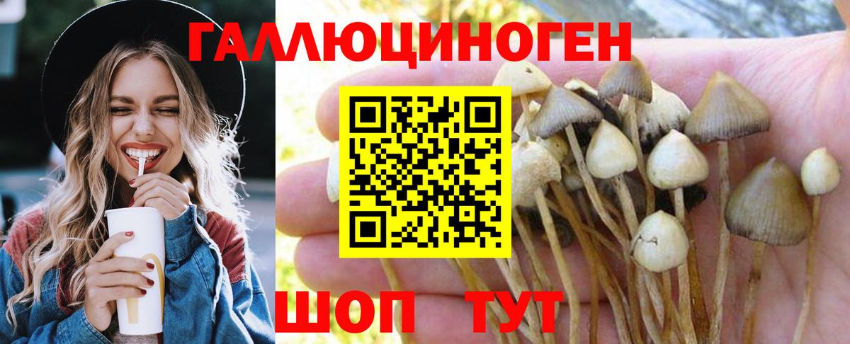 Галлюциногенные грибы Psilocybe  Вход с VPN  Радужный 